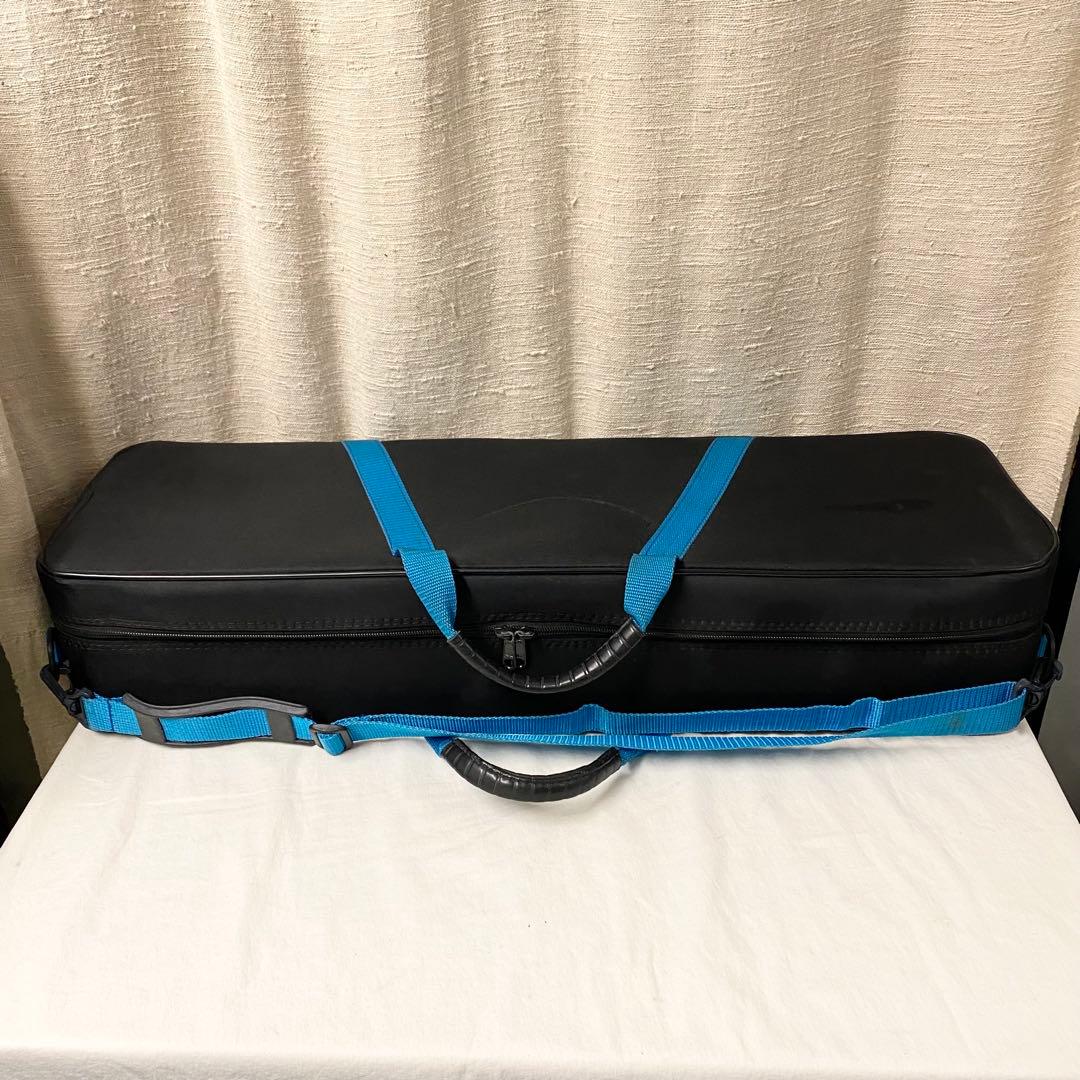 Bam バム バイオリンケース