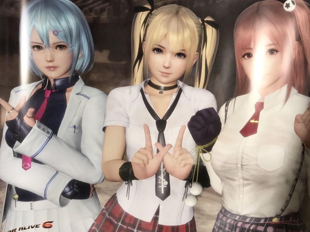 DEAD OR ALIVE6 デッド オア アライブ 6 非売品 ポスター全5種