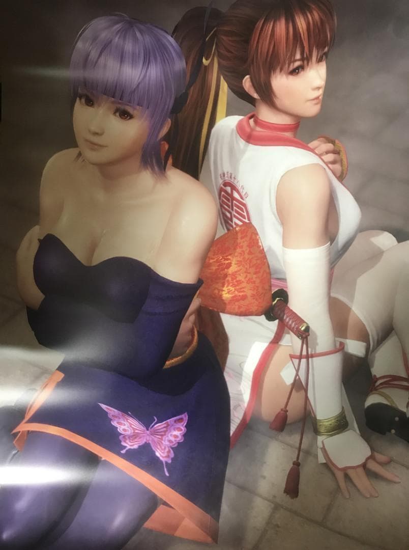 DEAD OR ALIVE6 デッド オア アライブ 6 非売品 ポスター全5種