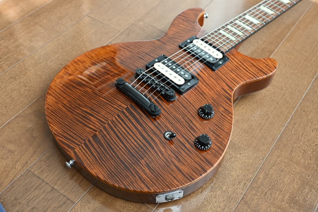 ギター Gibson LTD Les Paul Standard DC Plus