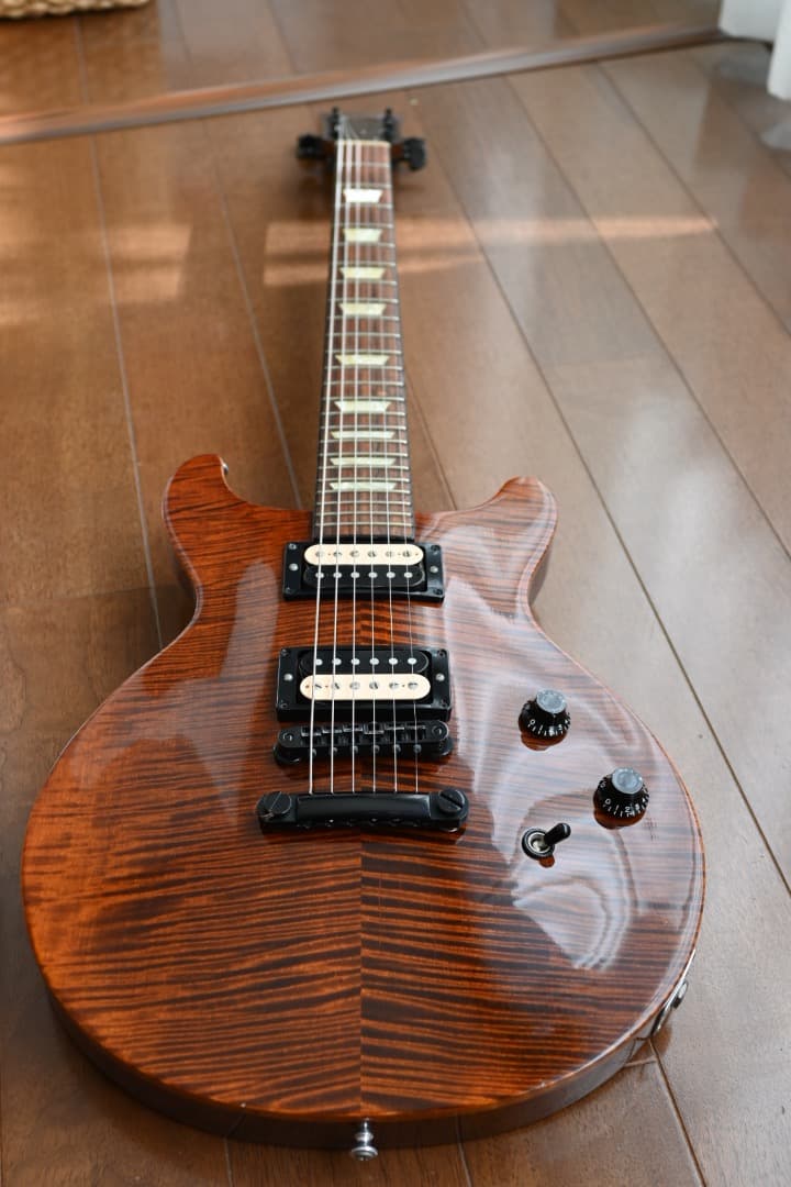 ギター Gibson LTD Les Paul Standard DC Plus