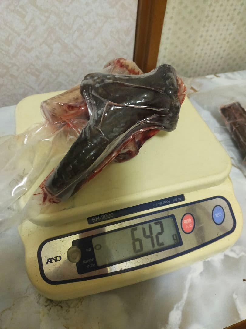 大浦宝　蝦夷鹿　袋角　鹿茸　2080g