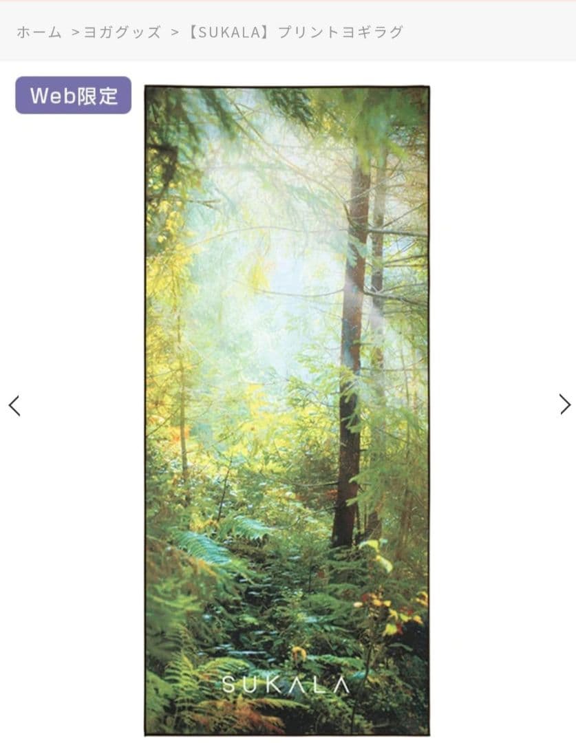 最安値！新作【新品未使用】　ラバ　プリントヨギラグ　コモレビ