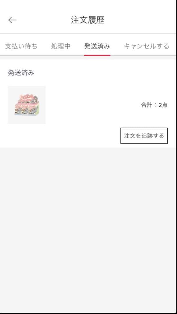 正規品・未開封LABUBU ラブブ EXCITING MACARON 1アソート