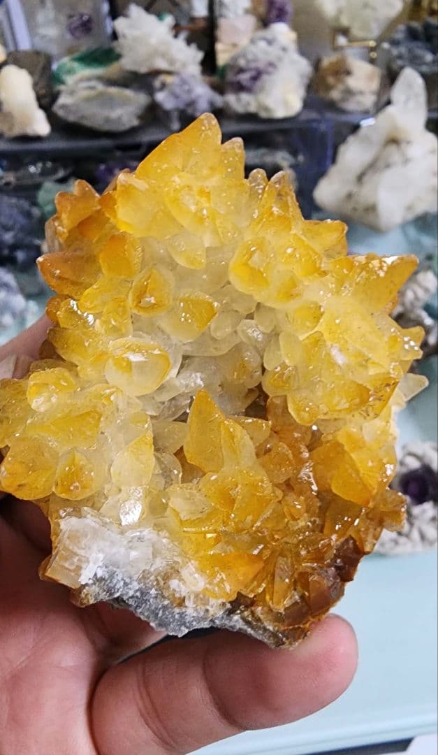 黄金の樹枝状歯方解石