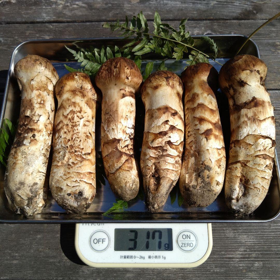 岩手県産マツタケ317g