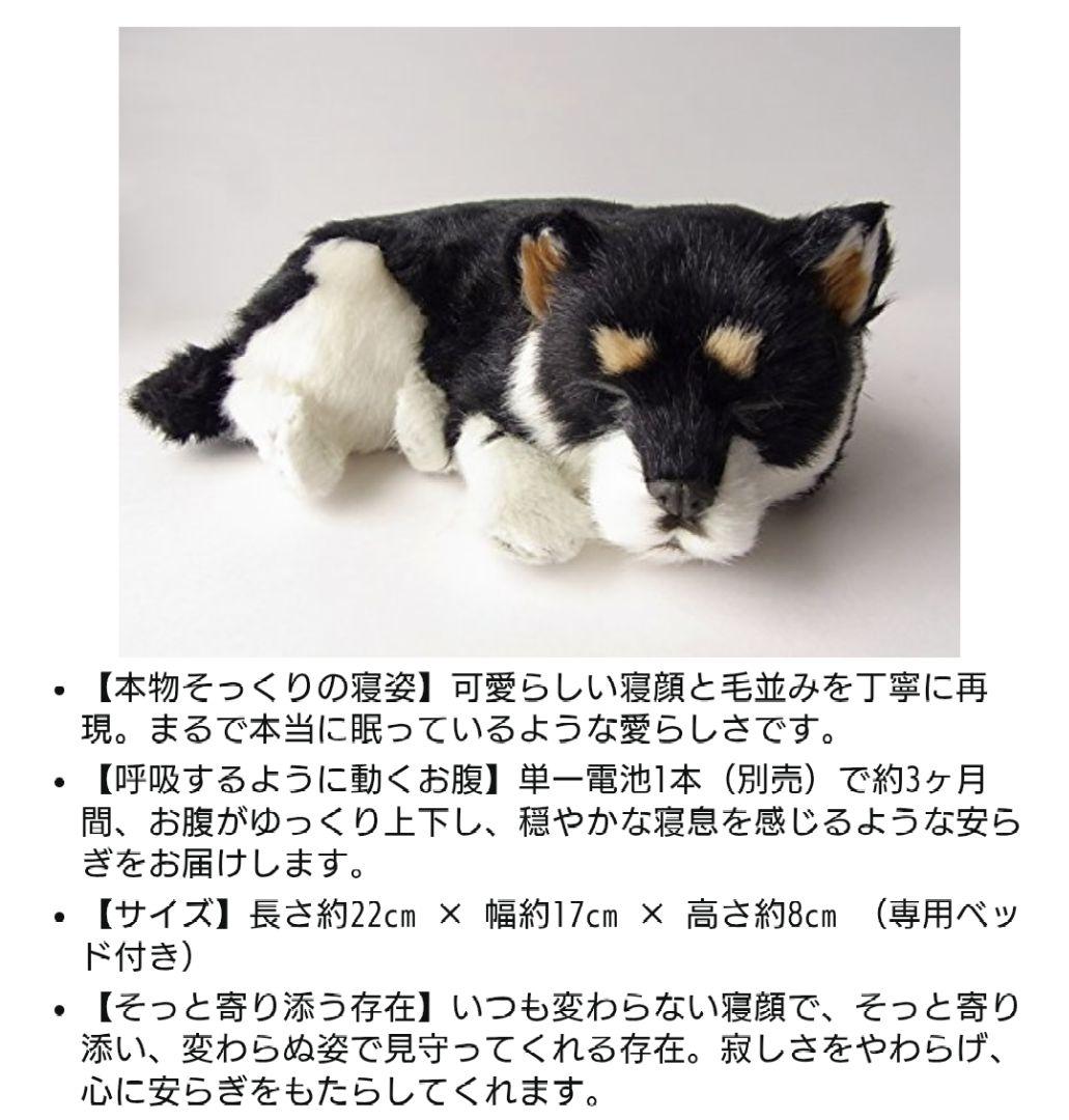 パーフェクトペット 黒柴