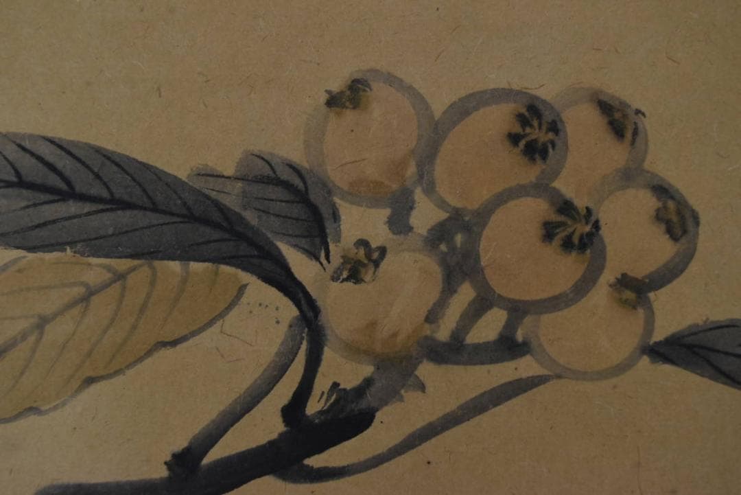【真作】柴田是真/枇杷図/ビワ図/横物/掛軸/名家伝来/AA-26