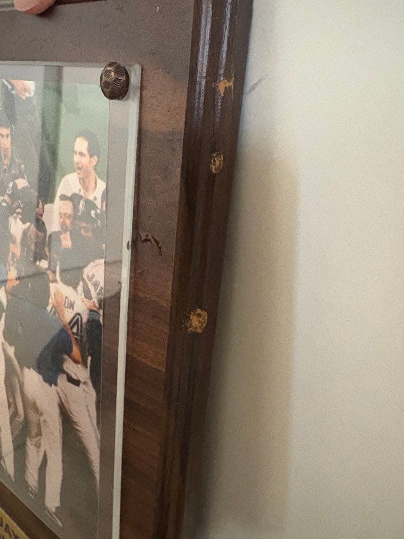 激レア！ブルージェイズ ワールドチャンピオン記念プレート 1992年　大リーグ