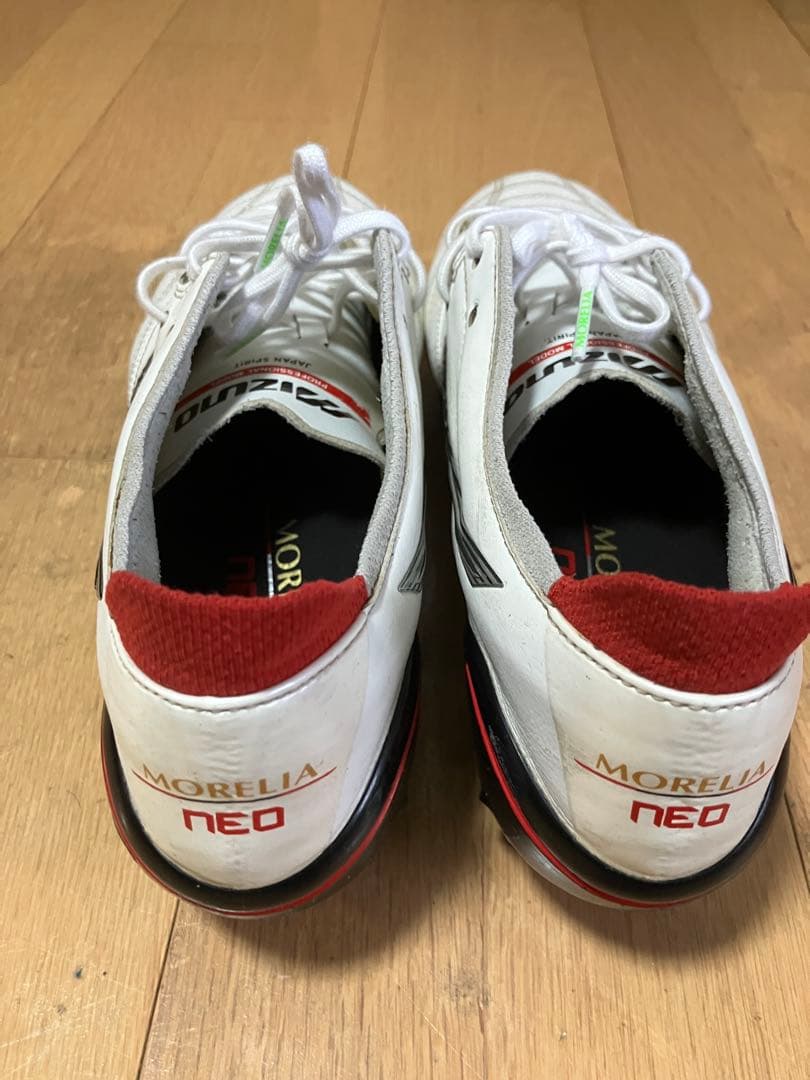 モレリアネオ3 mix