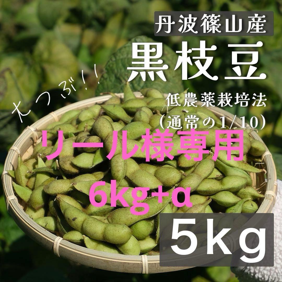 《採れたて》 兵庫県丹波篠山産　黒枝豆　6kg 低農薬栽培 黒大豆