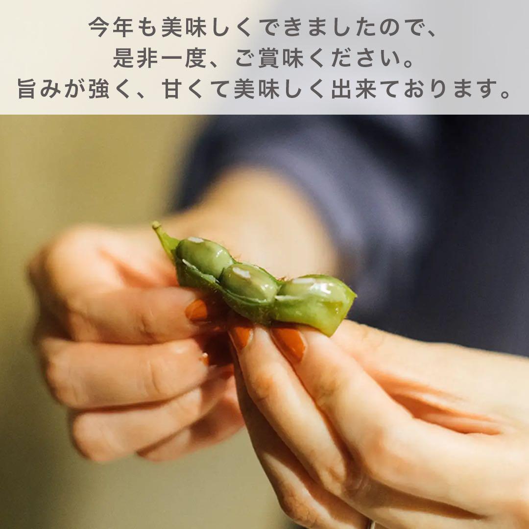 《採れたて》 兵庫県丹波篠山産　黒枝豆　6kg 低農薬栽培 黒大豆