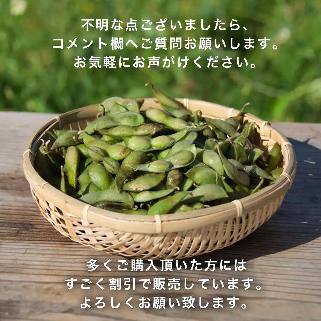 《採れたて》 兵庫県丹波篠山産　黒枝豆　6kg 低農薬栽培 黒大豆