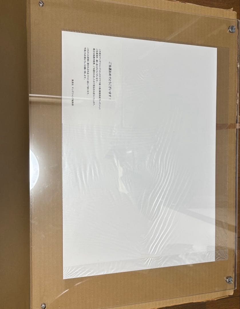 【30部限定】 ウマ娘シンデレラグレイ オグリキャップ 複製原画