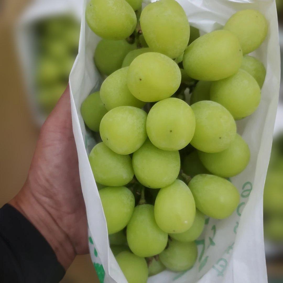 1⃣2️⃣ 山梨県産 シャインマスカット 9房入り 箱込み5.4キロ