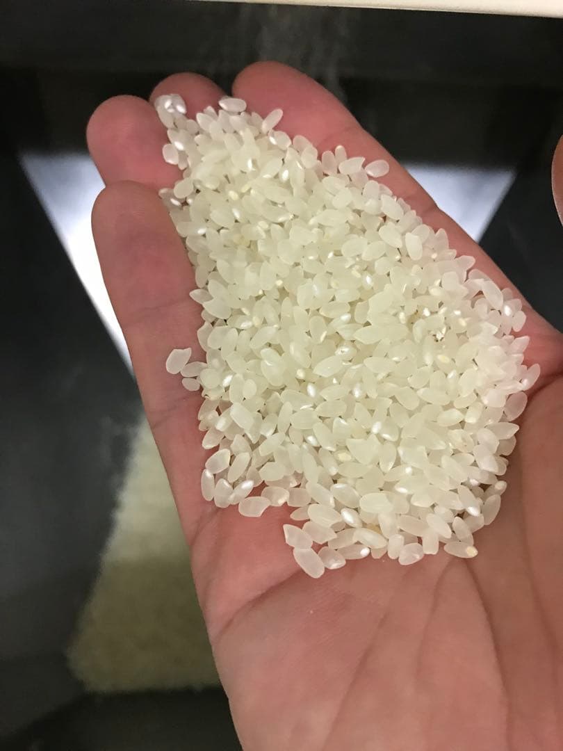 奈良県産自然栽培ヒノヒカリ10kg玄米