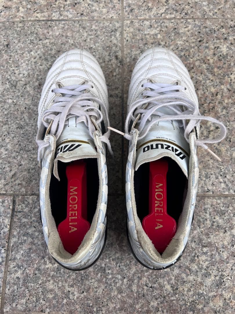 （海外限定モデル）モレリアネオ