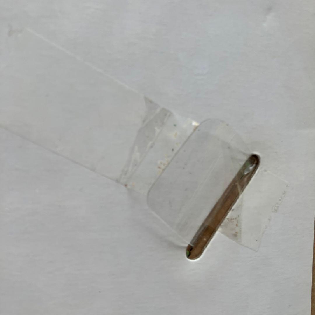 夢おうむ　ぬいぐるみ　いんこ　セガトイズ　鳥　野鳥　南国　本体のみ　リモコンなし