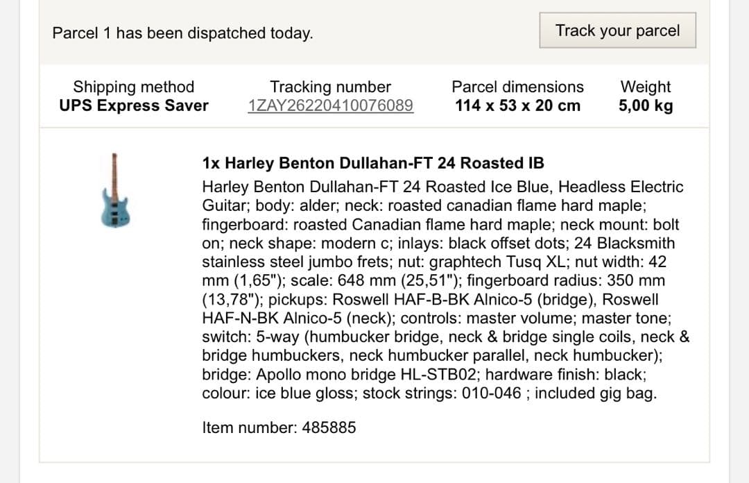 【廃盤】【改造多数】Harley Benton Dullahan