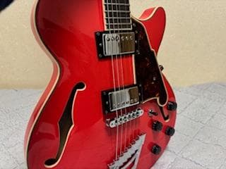 ギター D'Angelico Premier Series SS