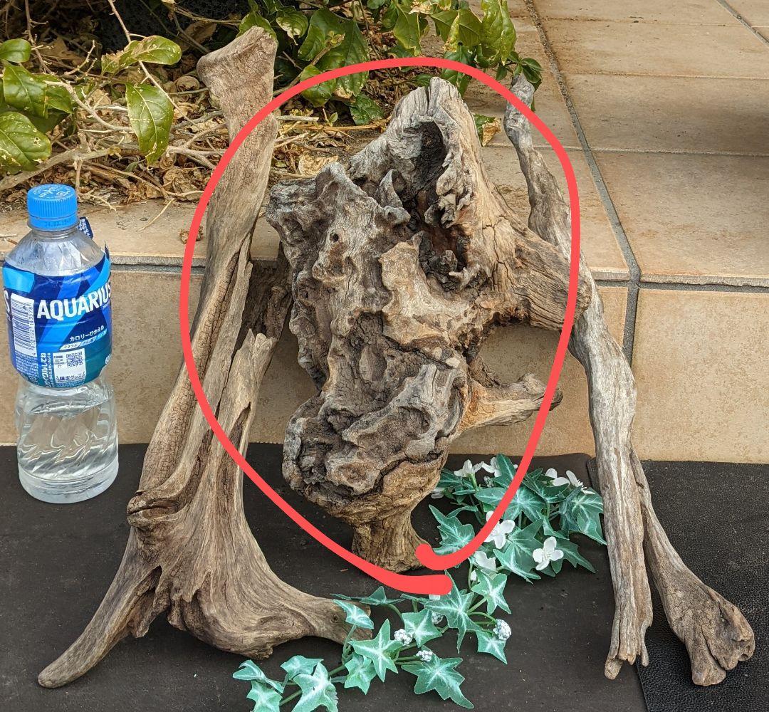 KKページ（10本+4セット）