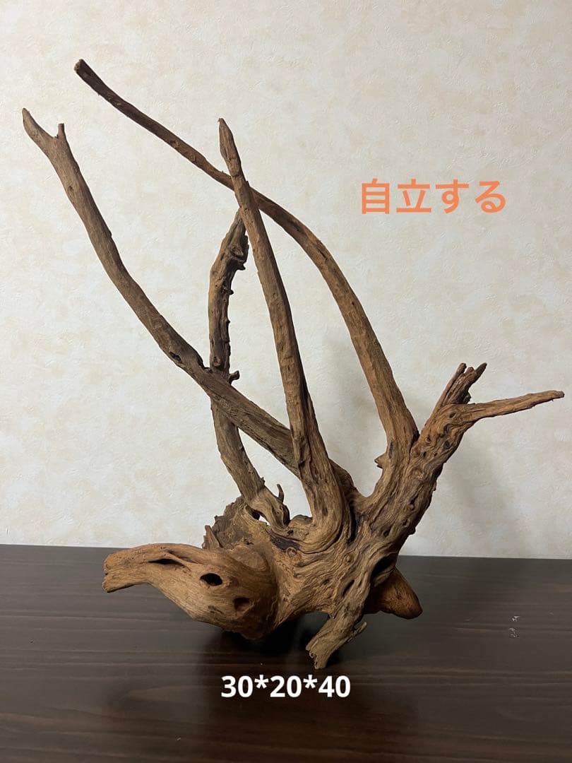 175 流木　ホーンウッド　マシンガンウッド　アクアリウム　ブランチウッド
