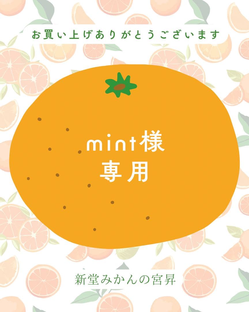 その他 mint