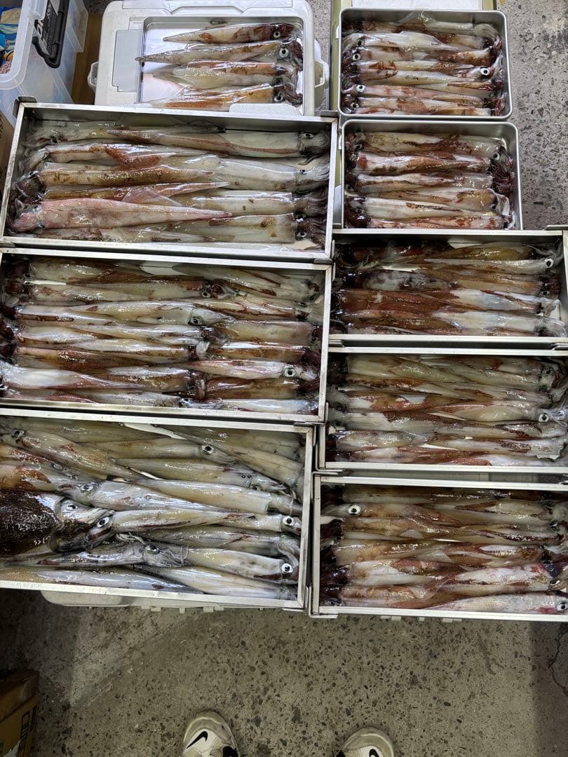 原価　newDUELezスリム70mm ＋プッカ75mm 13個セット