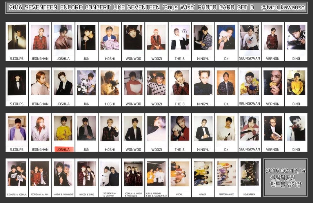 2016 SEVENTEENアンコン Boys Wish フォトカードセットD