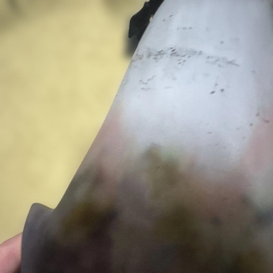 アンティークランプ フラワーモチーフ　ミューラー兄弟　吊り下げライト