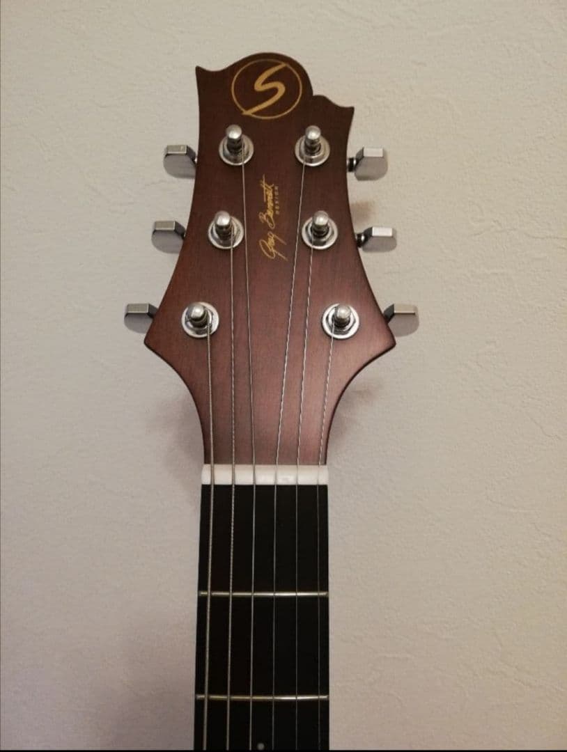 Greg Bennett D-310　アコースティック・ギター　アコギ