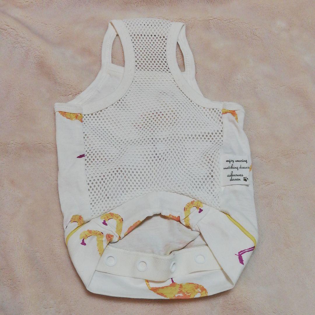 専用　試着のみ　アズノウアズデワン　asknowasdewan　SD　クール