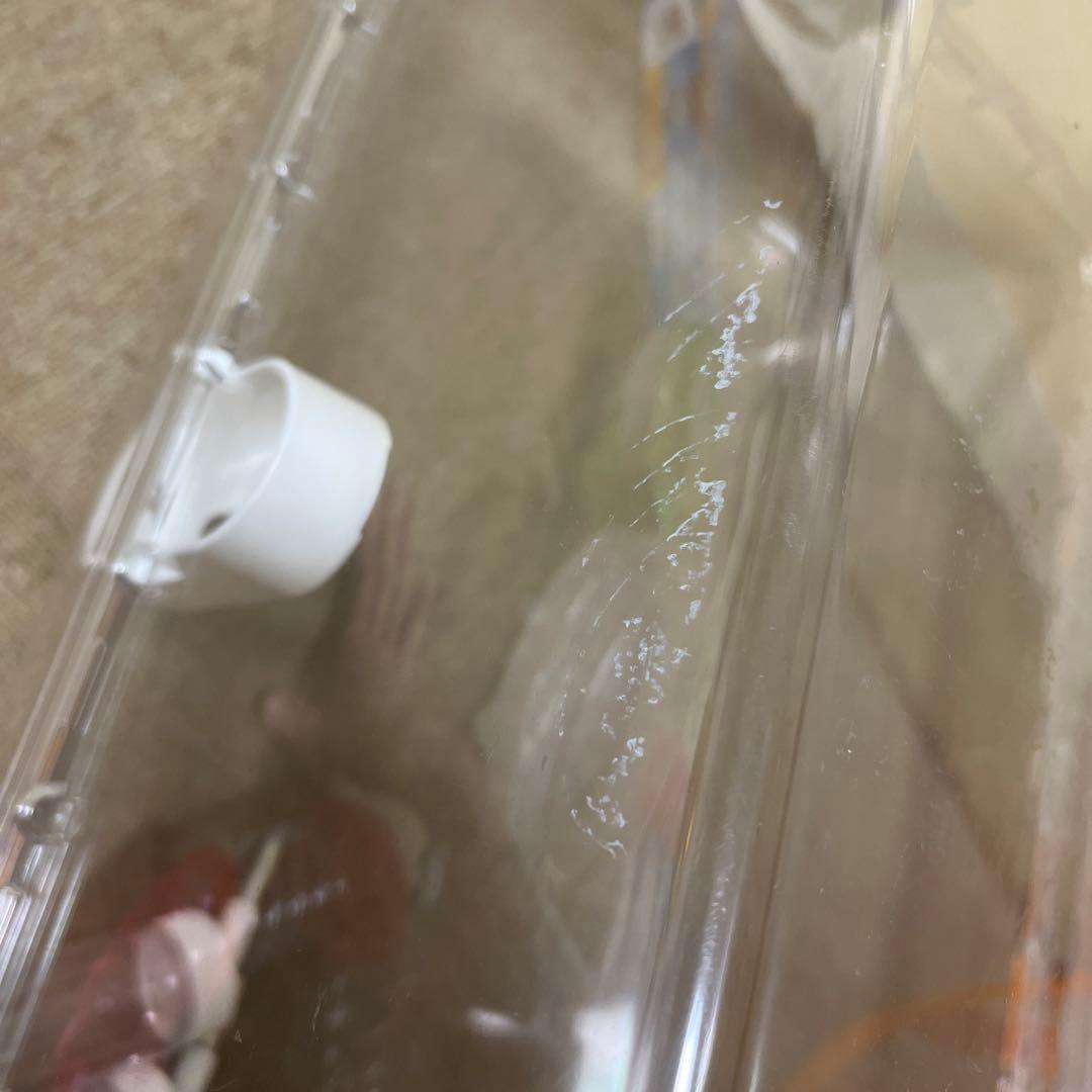 ルーミィ60 小動物　ハムスター　セット