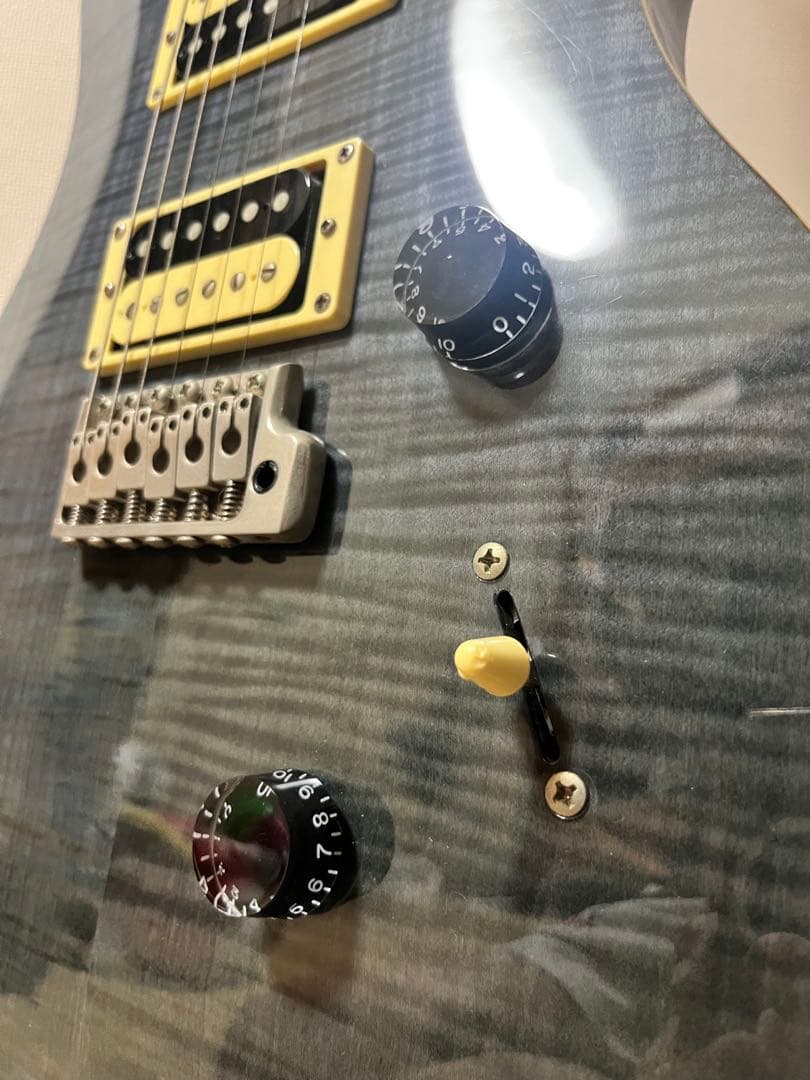 ポールリードスミス　SE custom