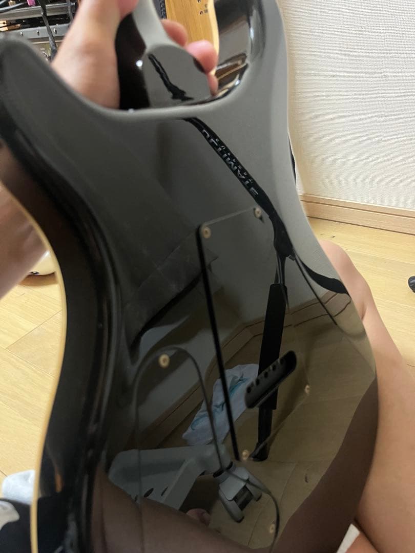 ポールリードスミス　SE custom