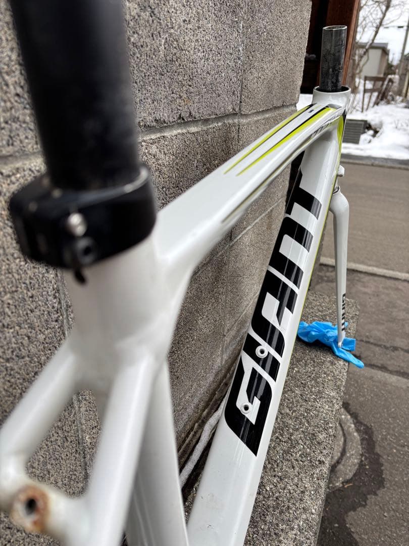 Giant TCR1フレーム