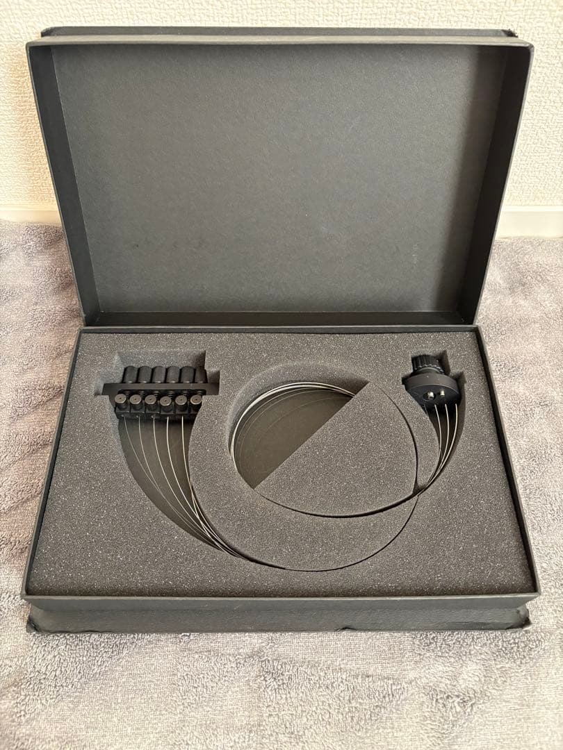 禿*空様 3分割高級ポータブルエレキギターSGT-3DPEG01NS