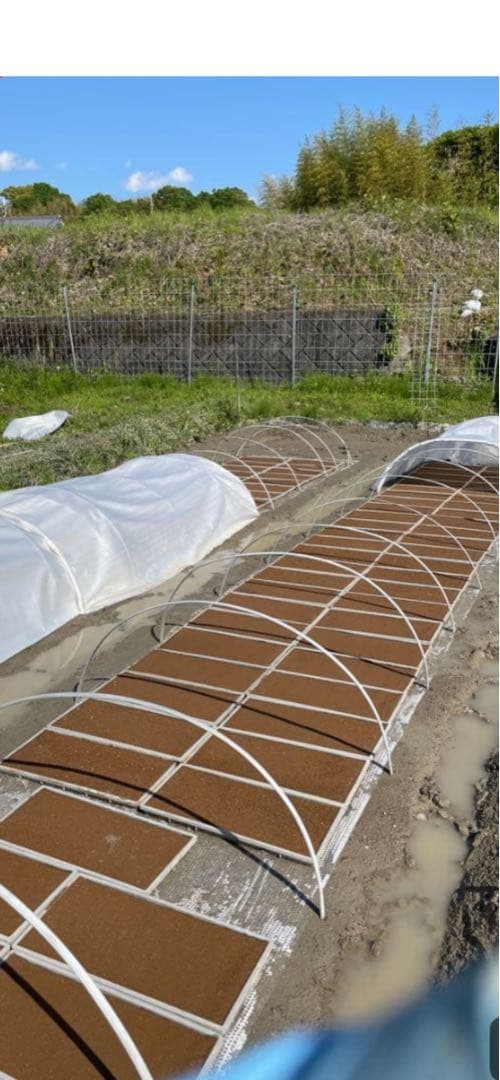 奈良県産自然栽培ヒノヒカリ20kg玄米