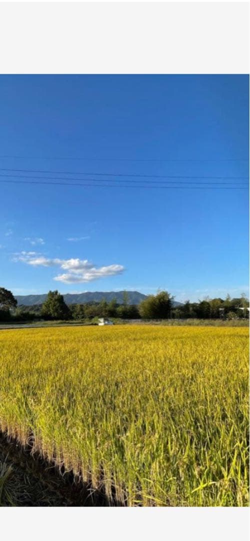 奈良県産自然栽培ヒノヒカリ20kg玄米