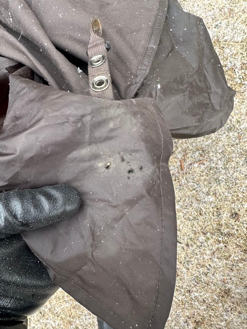 1953CAMPERSKHAN TENKER 伊豆のぬし釣り