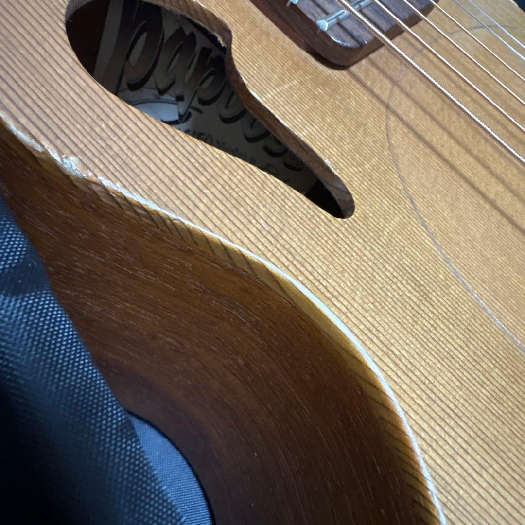 最終　レア　Tacoma P1パプース　ナスカケース付き