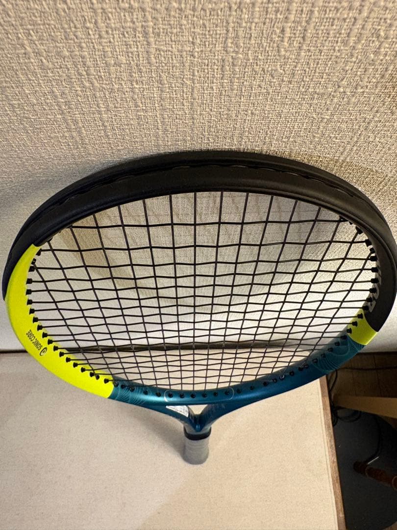 ダンロップ SX300 G2