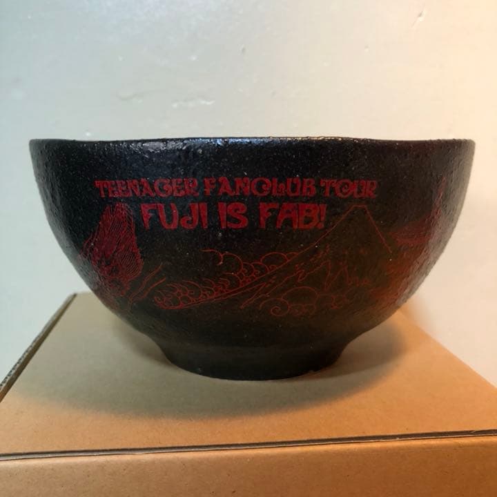 ⭕️未使用 FUJIFABRIC うどん丼　フジファブリック