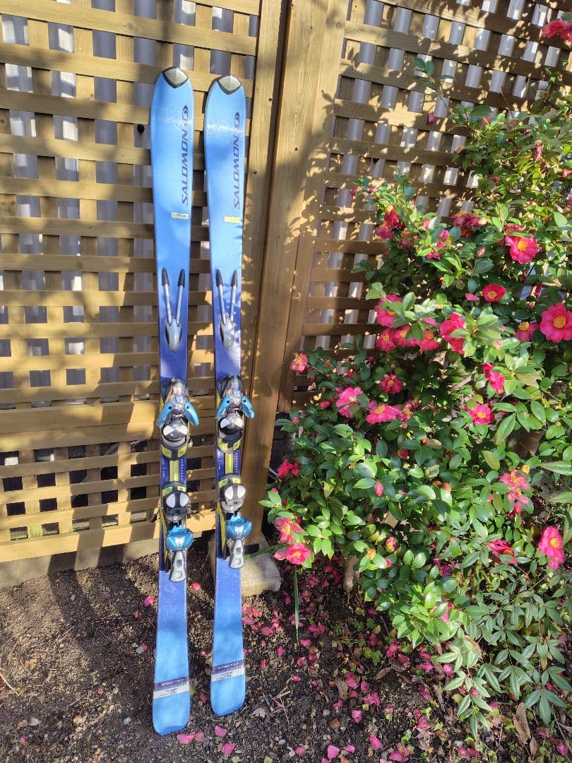 SALOMON カービングスキー ビンディング付き