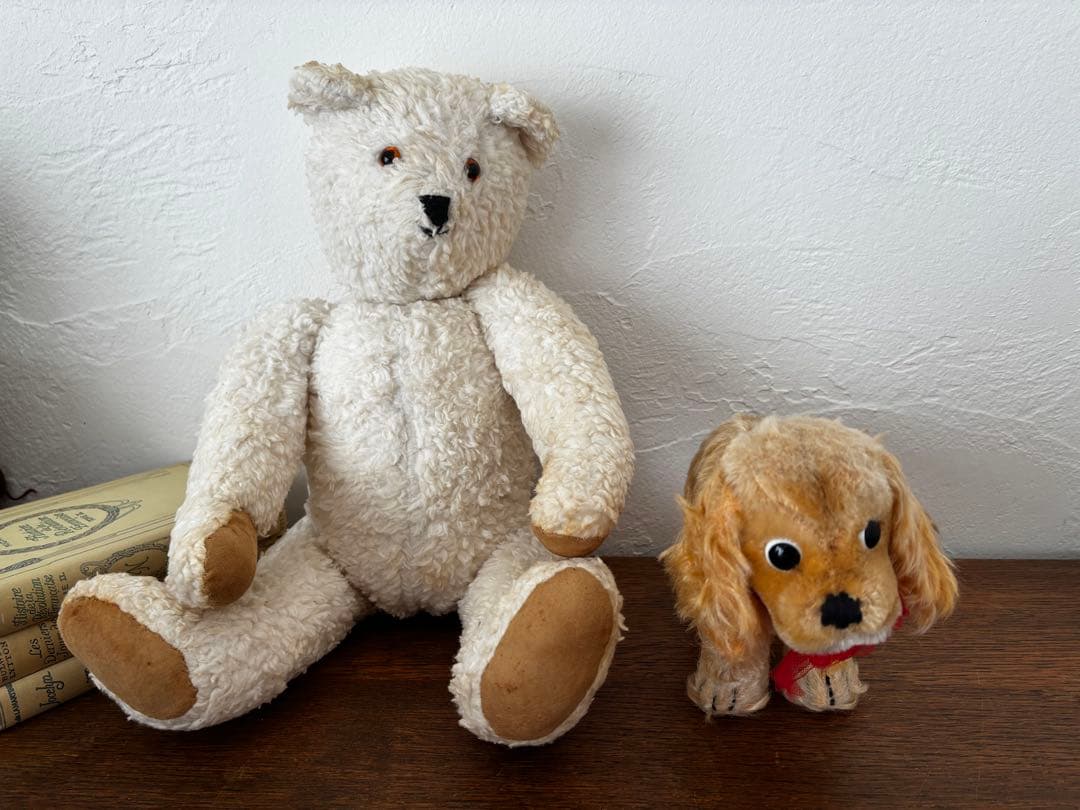 オランダ　シュタイフ　犬　ぬいぐるみ