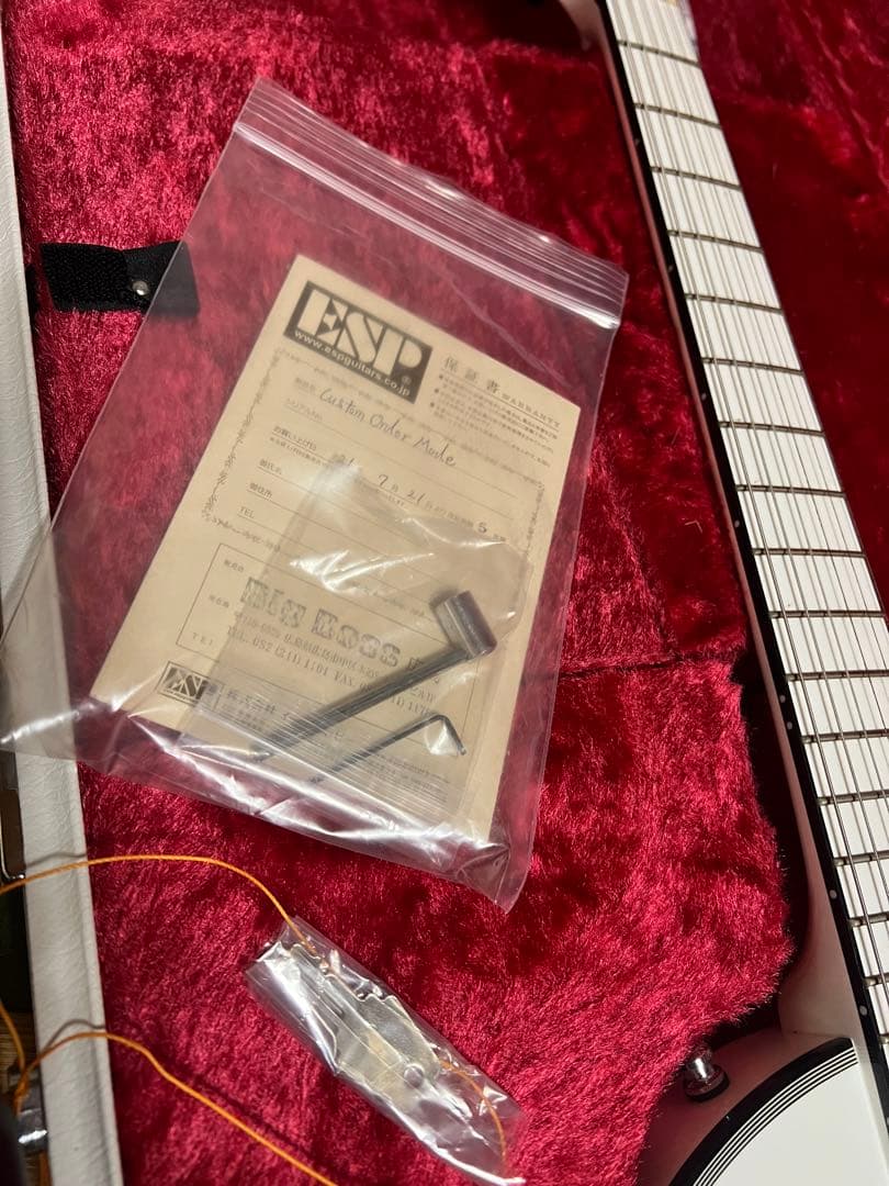 ESP eclipse カスタムオーダーメイド