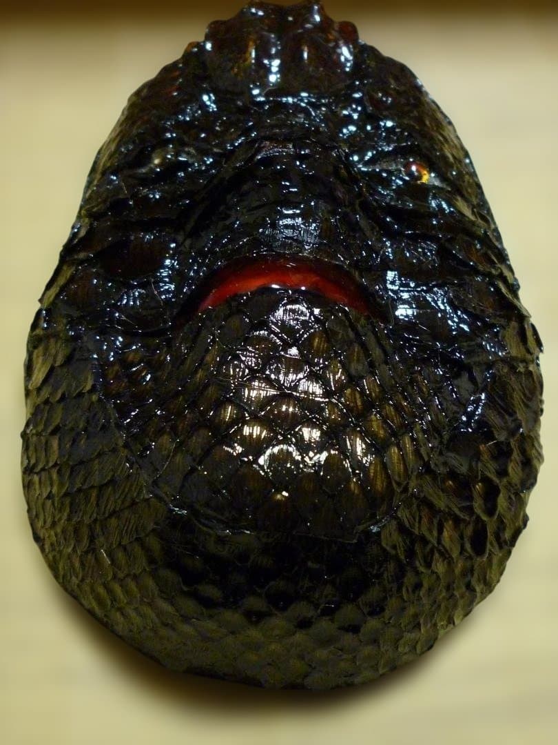 小面の面表面にワニ革（カイマン）と蛇革（パイソン）を張った作品