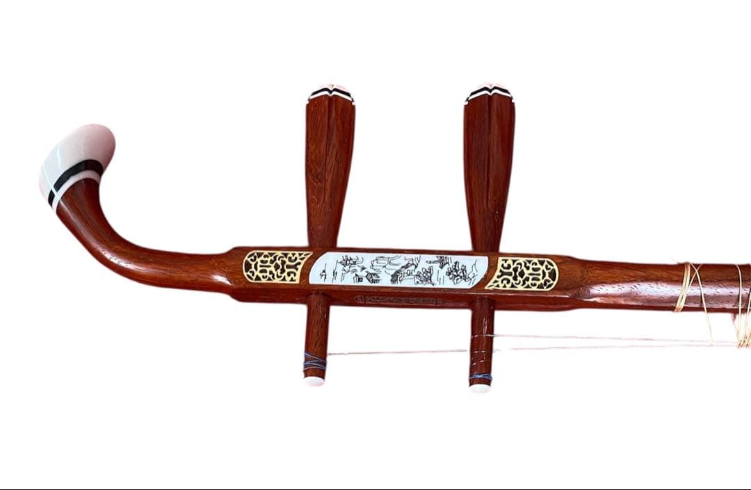 二胡 紅木 蛇皮 セミハードケースセット