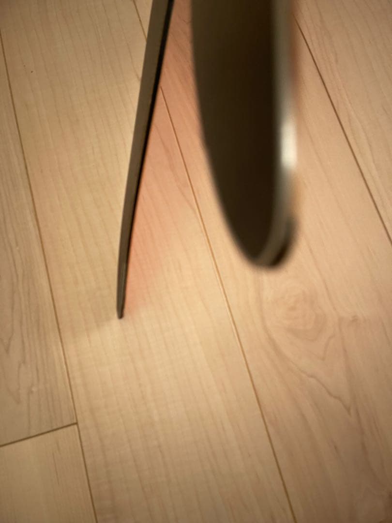 gentemstick（ゲンテンスティック ）BIGFISH⭐︎