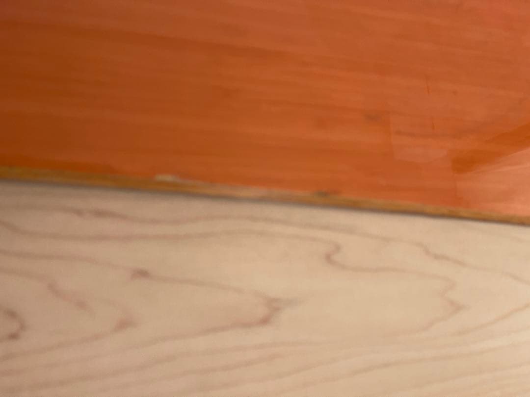 gentemstick（ゲンテンスティック ）BIGFISH⭐︎